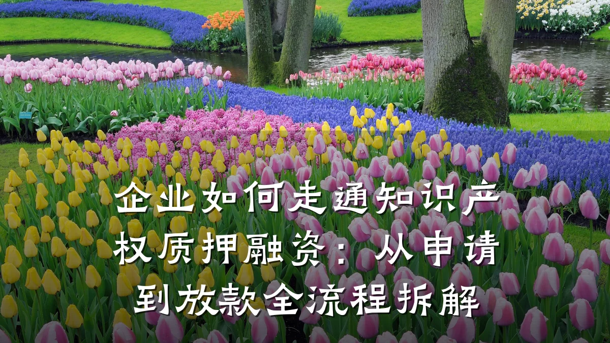 企业如何走通知识产权质押融资:从申请到放款全流程拆解