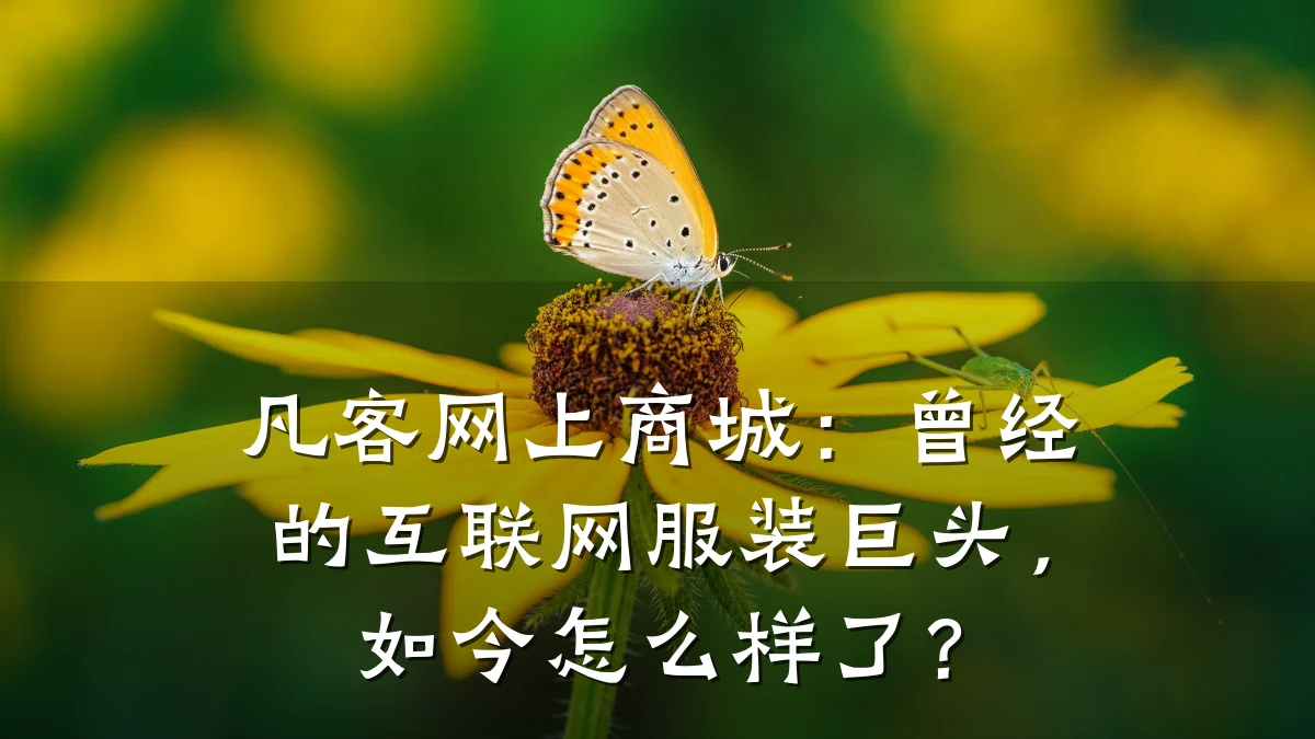 凡客网上商城:曾经的互联网服装巨头,如今怎么样了?