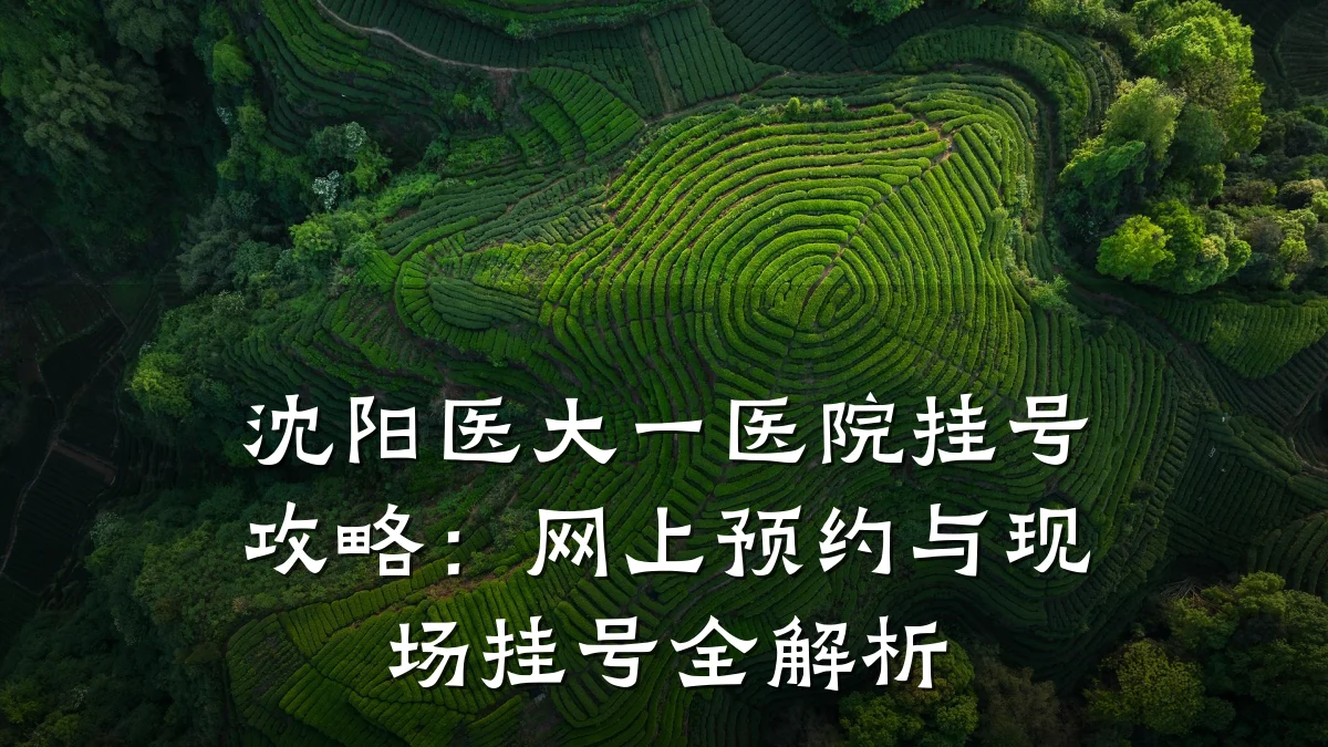 沈阳医大一医院挂号攻略：网上预约与现场挂号全解析