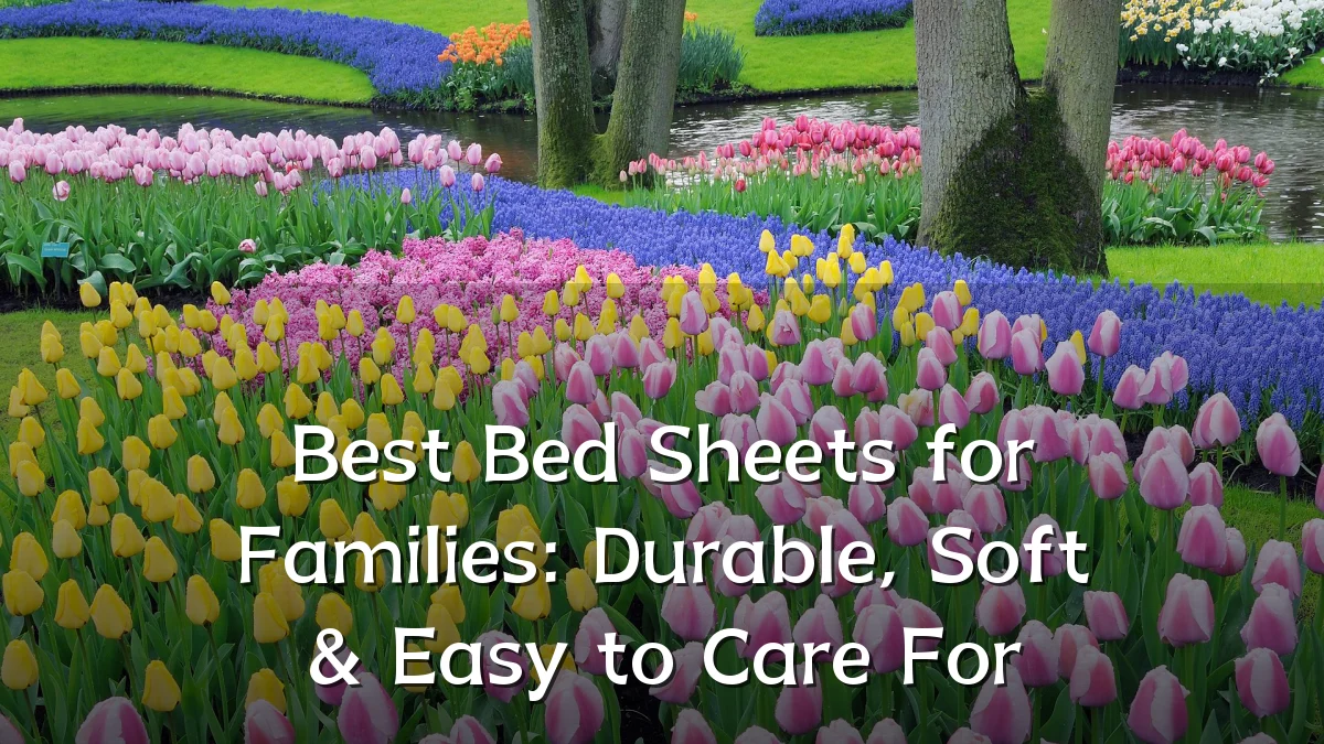 Best Bed Sheets for Families: Durable, Soft & Easy to Care For