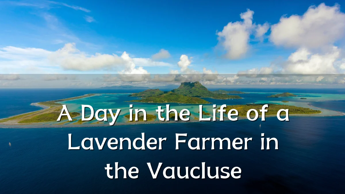 A Day in the Life of a Lavender Farmer in the Vaucluse