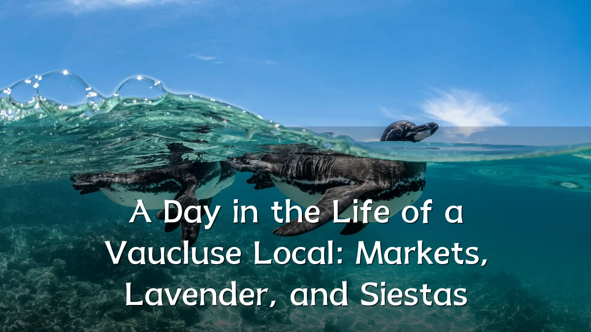 A Day in the Life of a Vaucluse Local: Markets, Lavender, and Siestas