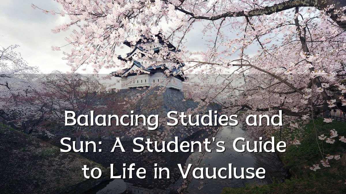 Balancing Studies and Sun: A Student's Guide to Life in Vaucluse