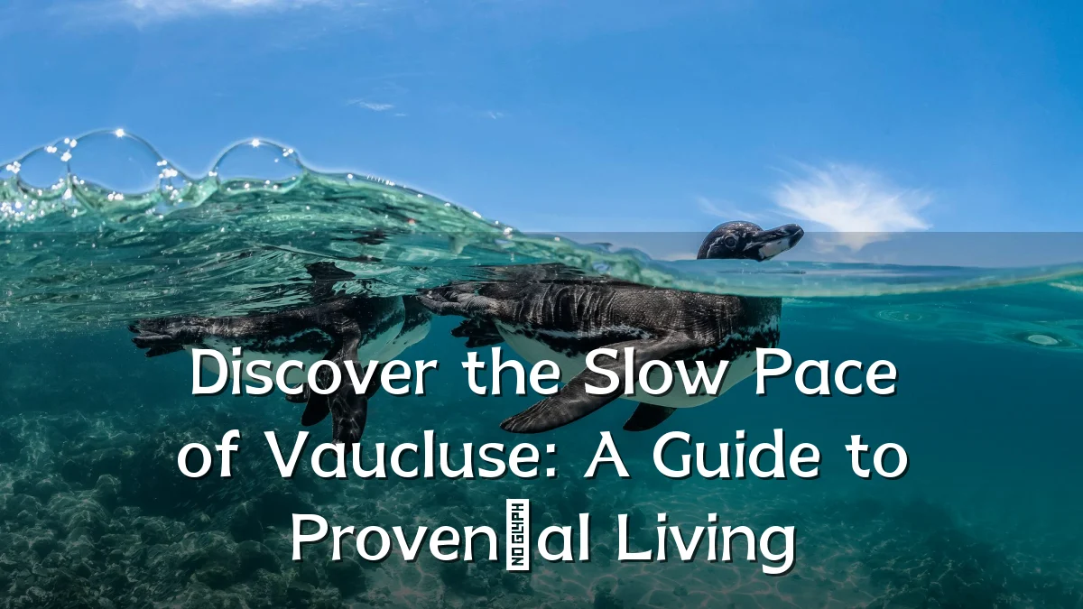 Discover the Slow Pace of Vaucluse: A Guide to Provençal Living