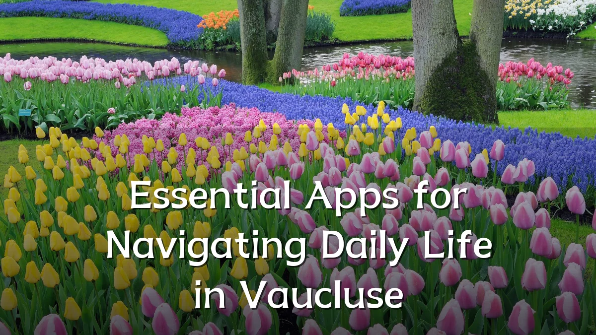 Essential Apps for Navigating Daily Life in Vaucluse