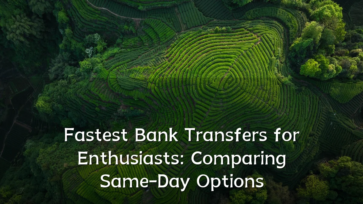 Fastest Bank Transfers for Enthusiasts: Comparing Same-Day Options