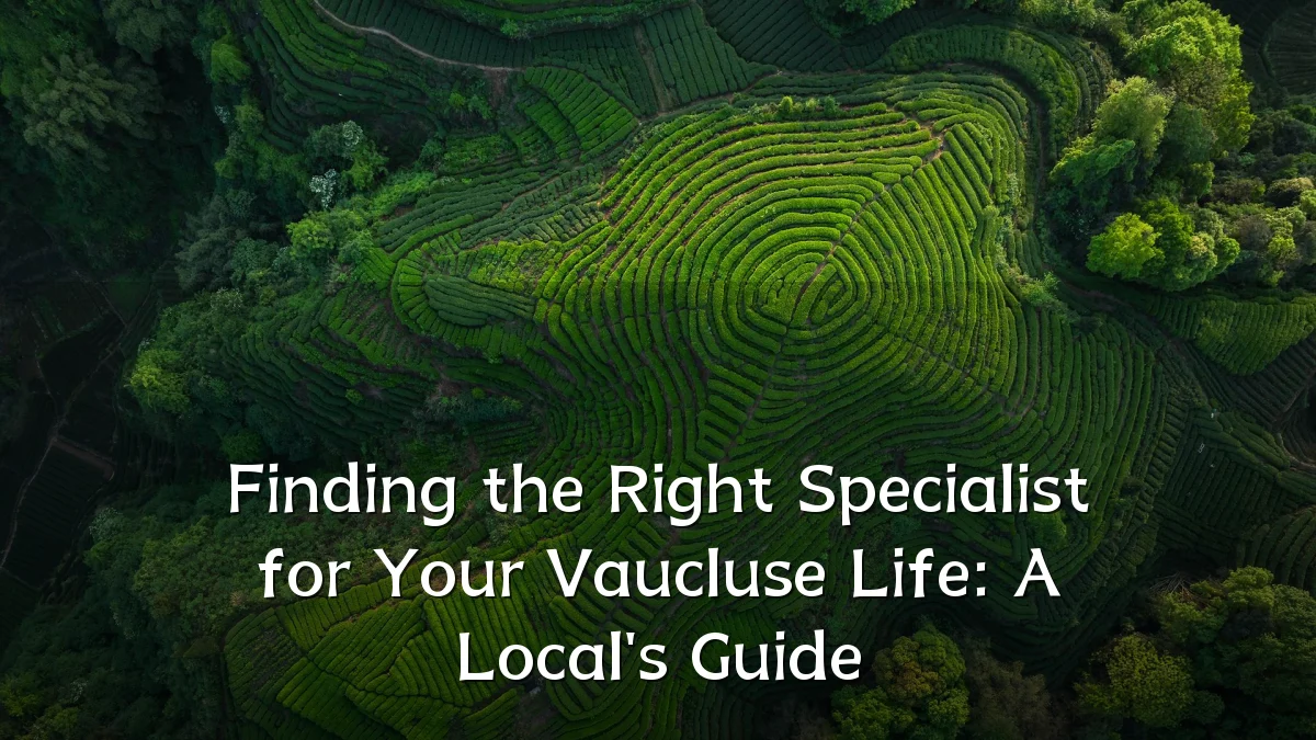 Finding the Right Specialist for Your Vaucluse Life: A Local's Guide