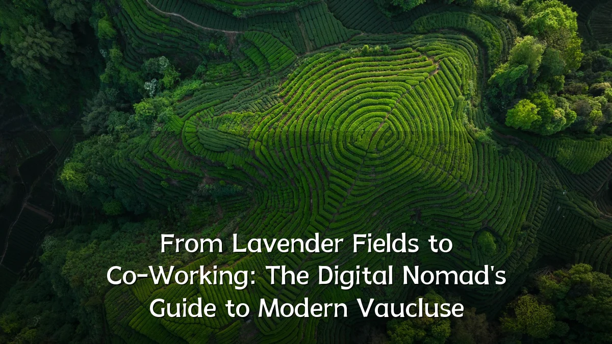 From Lavender Fields to Co-Working: The Digital Nomad's Guide to Modern Vaucluse