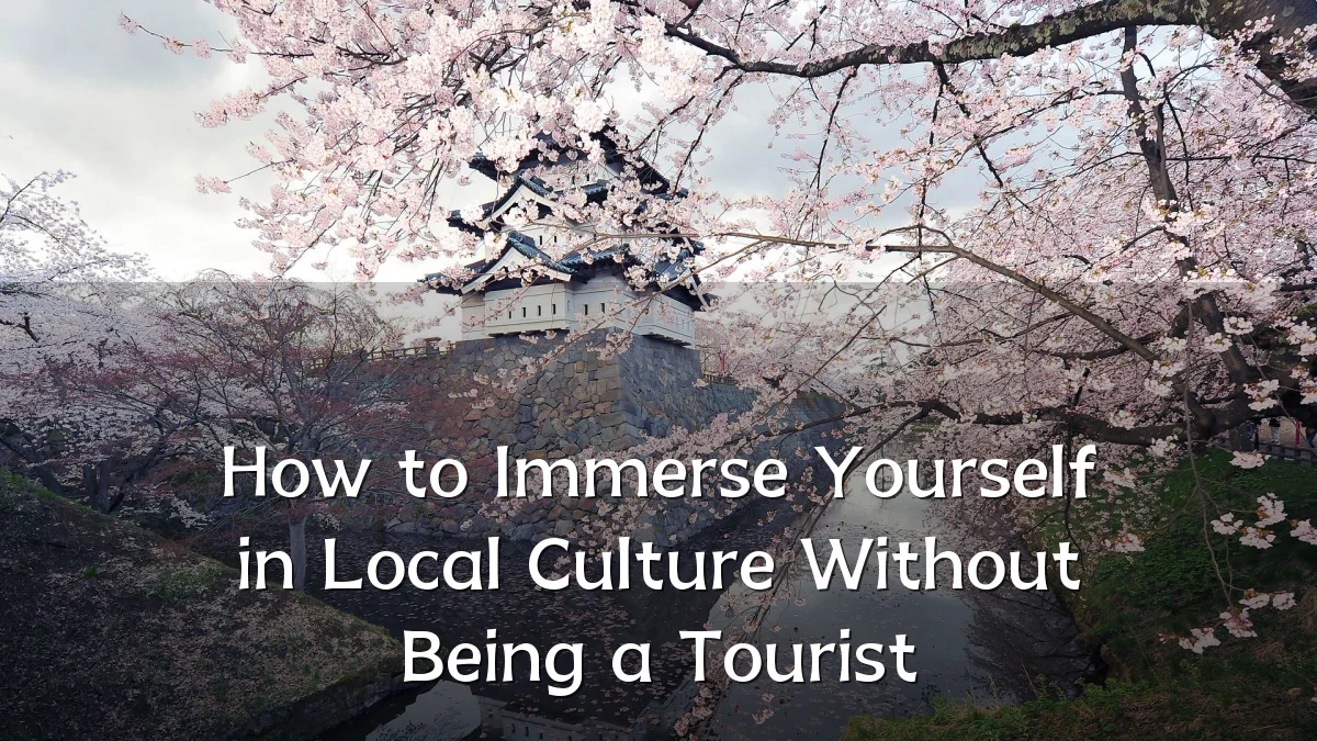 How to Immerse Yourself in Local Culture Without Being a Tourist