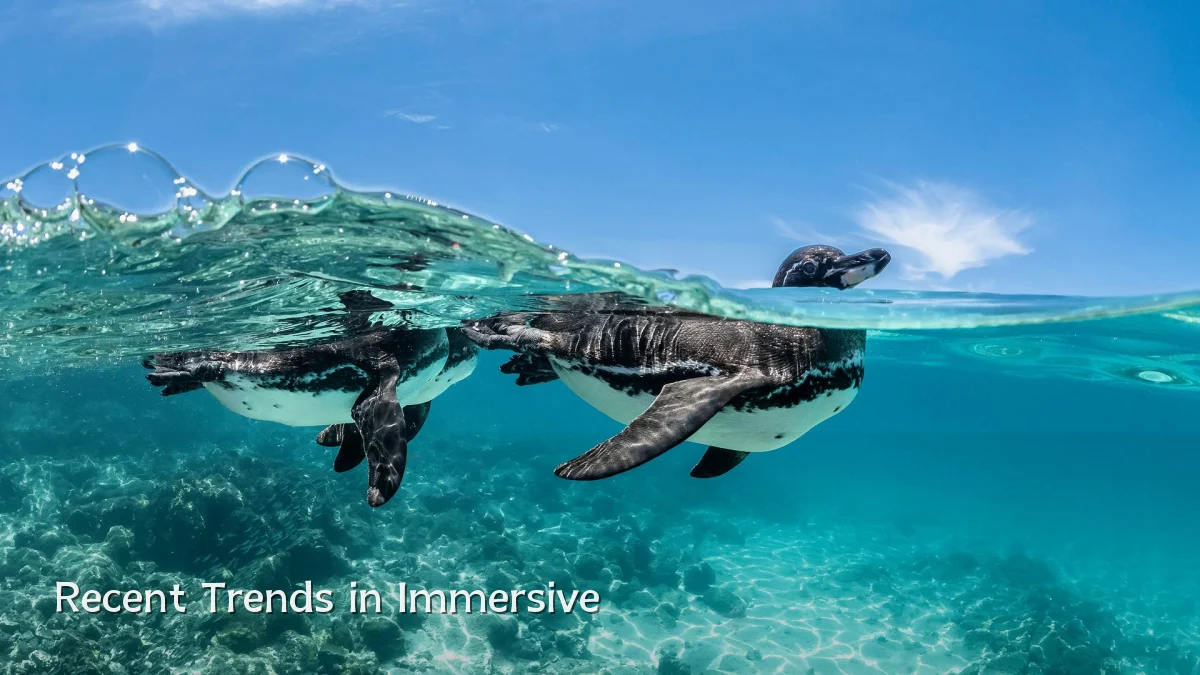 Recent Trends in Immersive