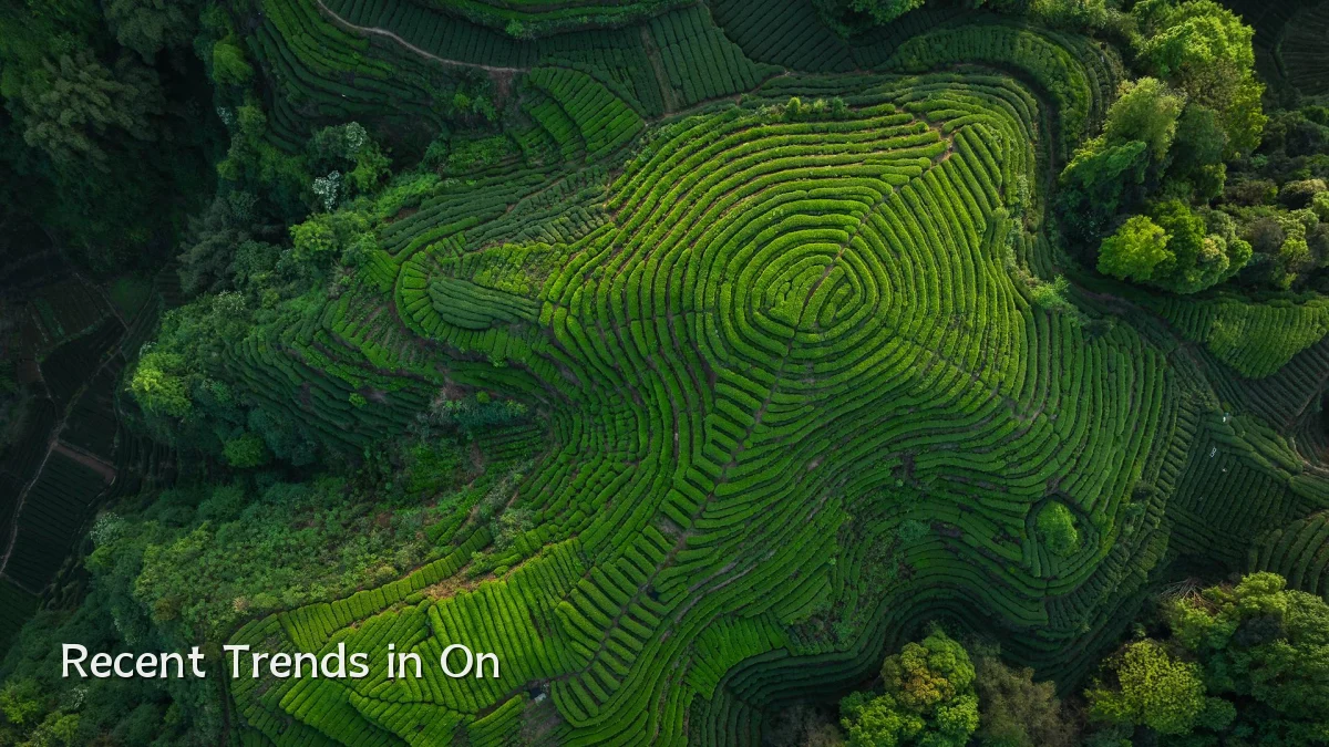 Recent Trends in On