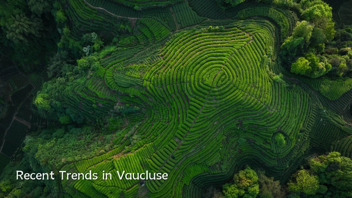 Recent Trends in Vaucluse