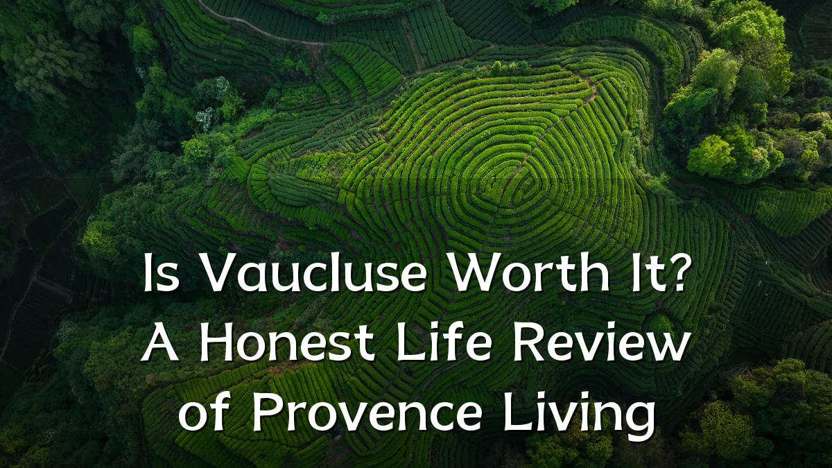 Is Vaucluse Worth It? A Honest Life Review of Provence Living