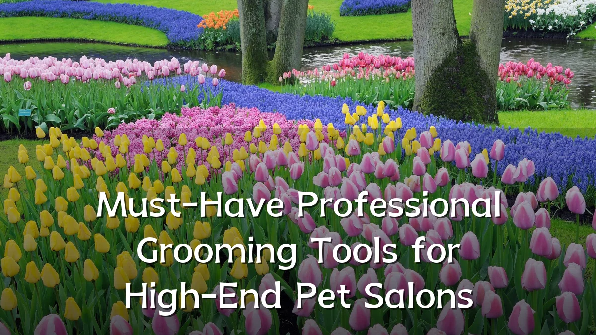 Must-Have Professional Grooming Tools for High-End Pet Salons