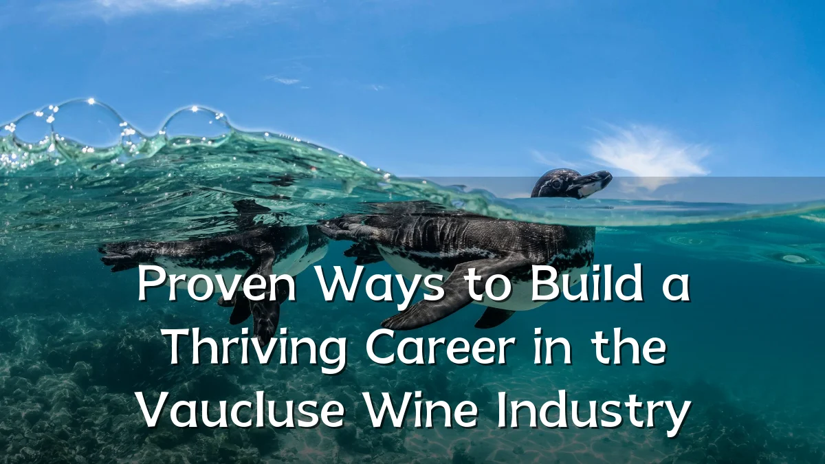Proven Ways to Build a Thriving Career in the Vaucluse Wine Industry