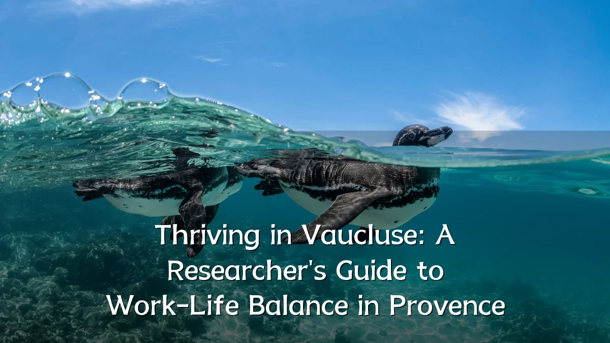 Thriving in Vaucluse: A Researcher's Guide to Work-Life Balance in Provence