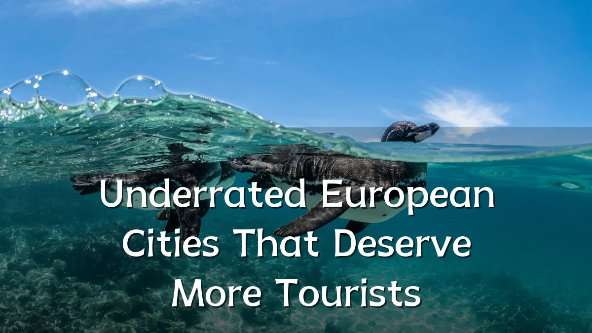 Underrated European Cities That Deserve More Tourists