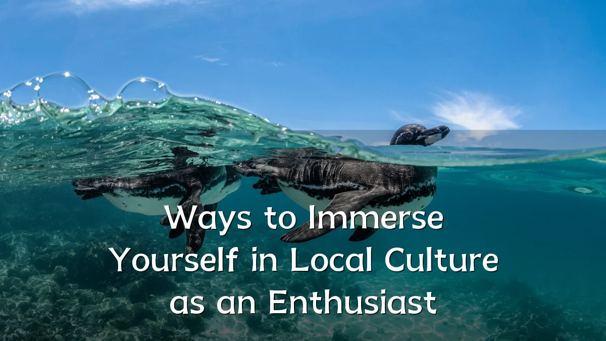 Ways to Immerse Yourself in Local Culture as an Enthusiast