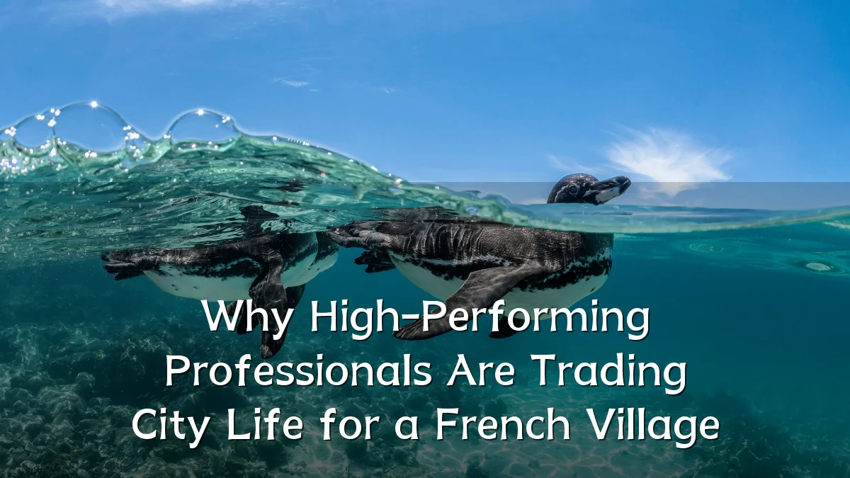 Why High-Performing Professionals Are Trading City Life for a French Village