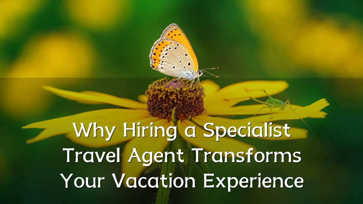 Why Hiring a Specialist Travel Agent Transforms Your Vacation Experience