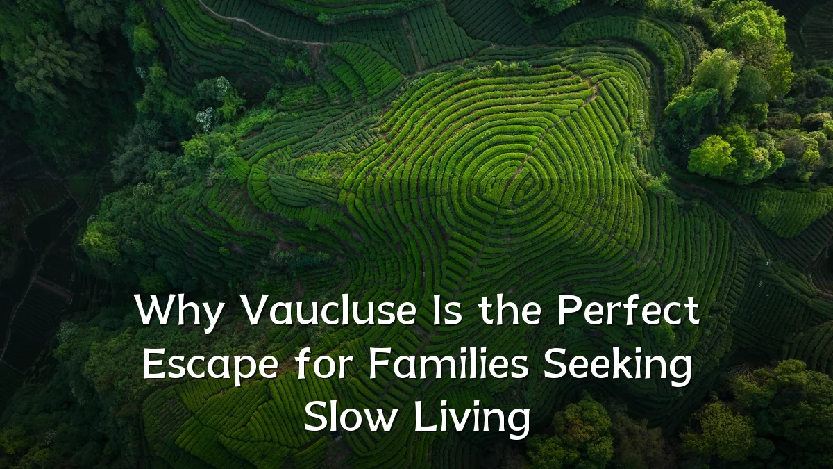 Why Vaucluse Is the Perfect Escape for Families Seeking Slow Living