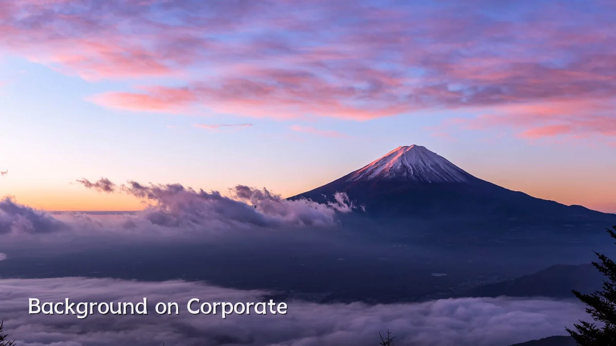 Background on Corporate