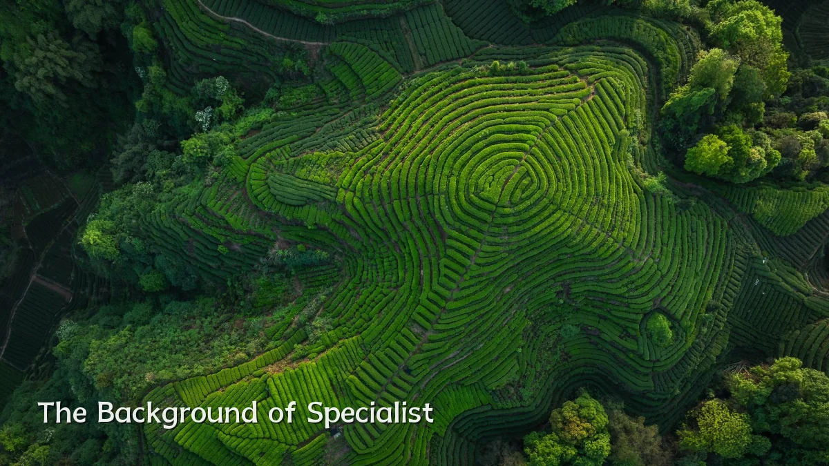 The Background of Specialist