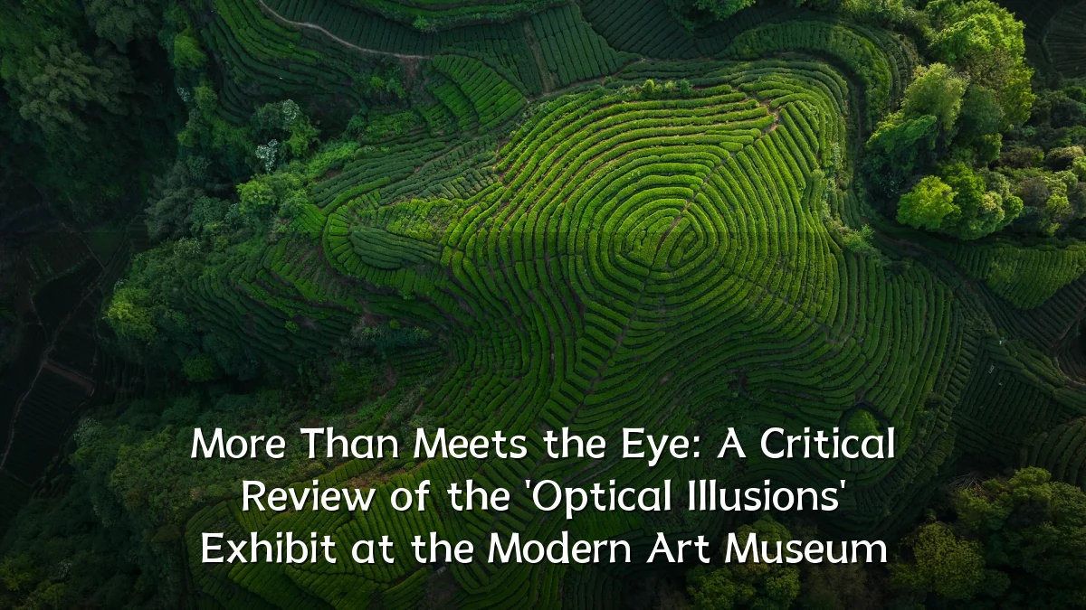 More Than Meets the Eye: A Critical Review of the 'Optical Illusions' Exhibit at the Modern Art Museum