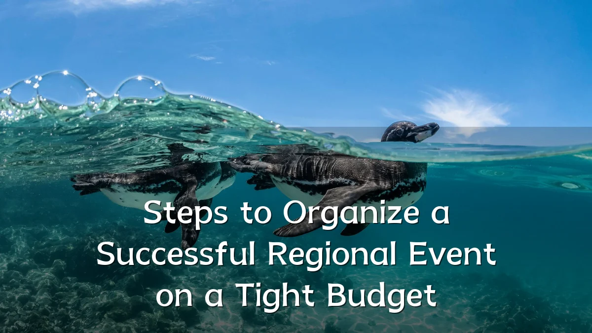 Steps to Organize a Successful Regional Event on a Tight Budget