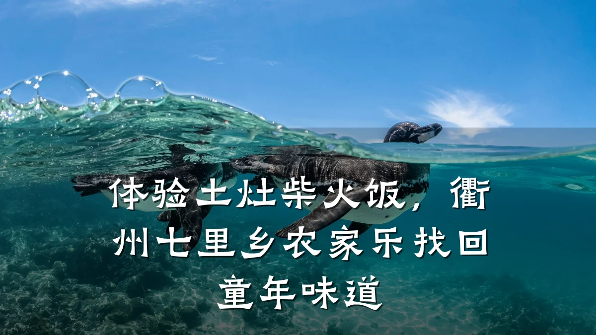 体验土灶柴火饭，衢州七里乡农家乐找回童年味道