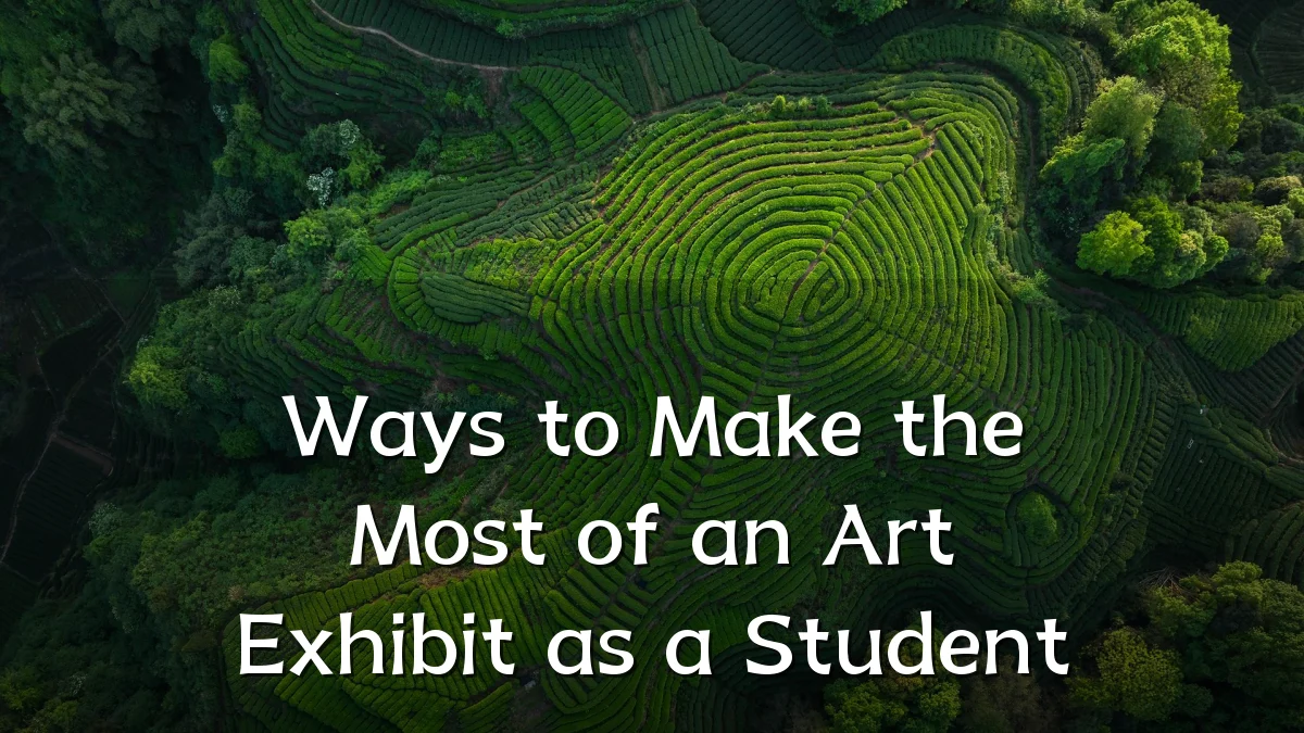 Ways to Make the Most of an Art Exhibit as a Student