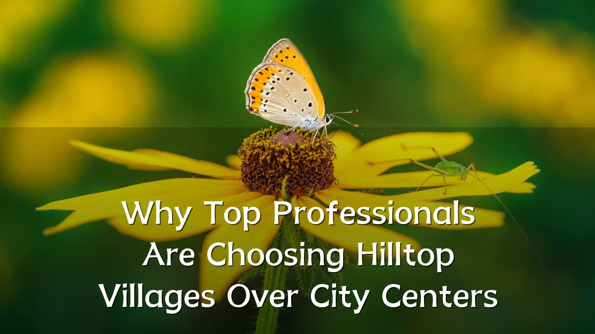 Why Top Professionals Are Choosing Hilltop Villages Over City Centers