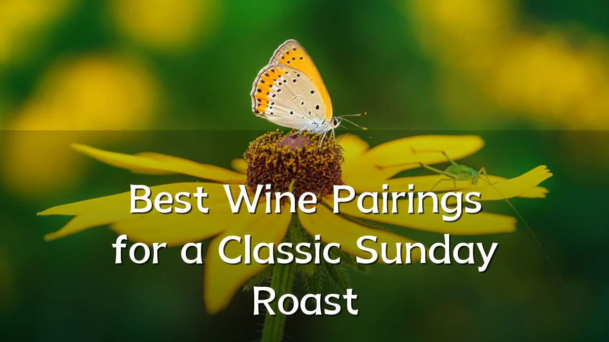 Best Wine Pairings for a Classic Sunday Roast