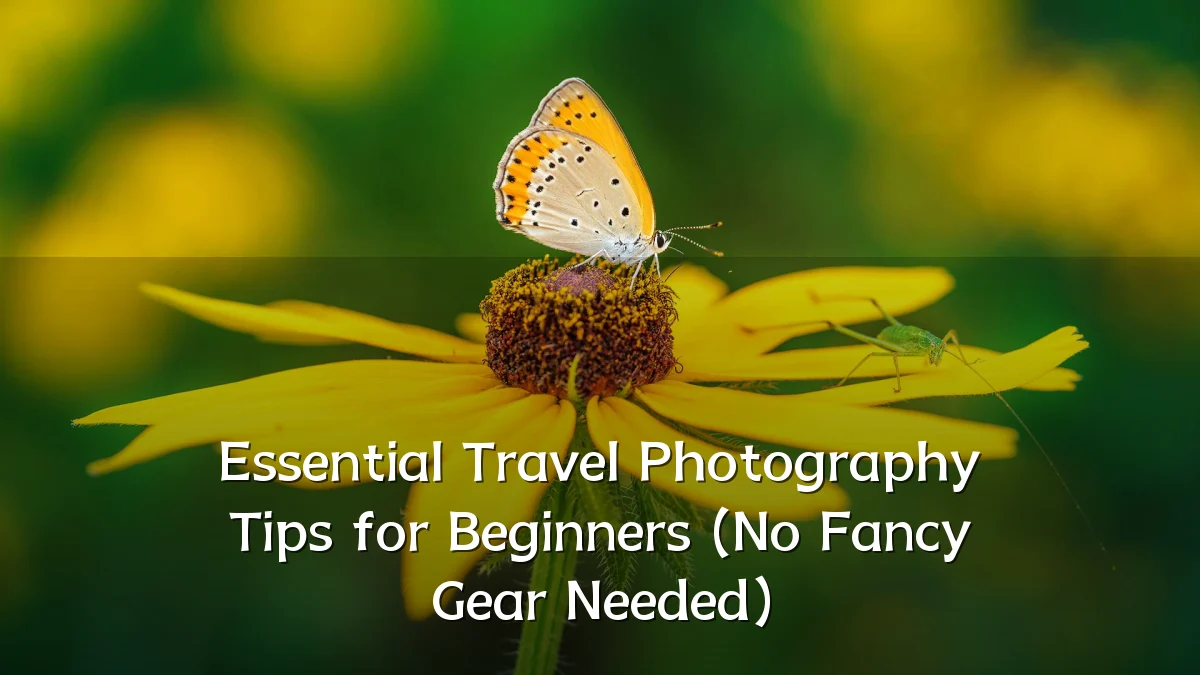Essential Travel Photography Tips for Beginners (No Fancy Gear Needed)