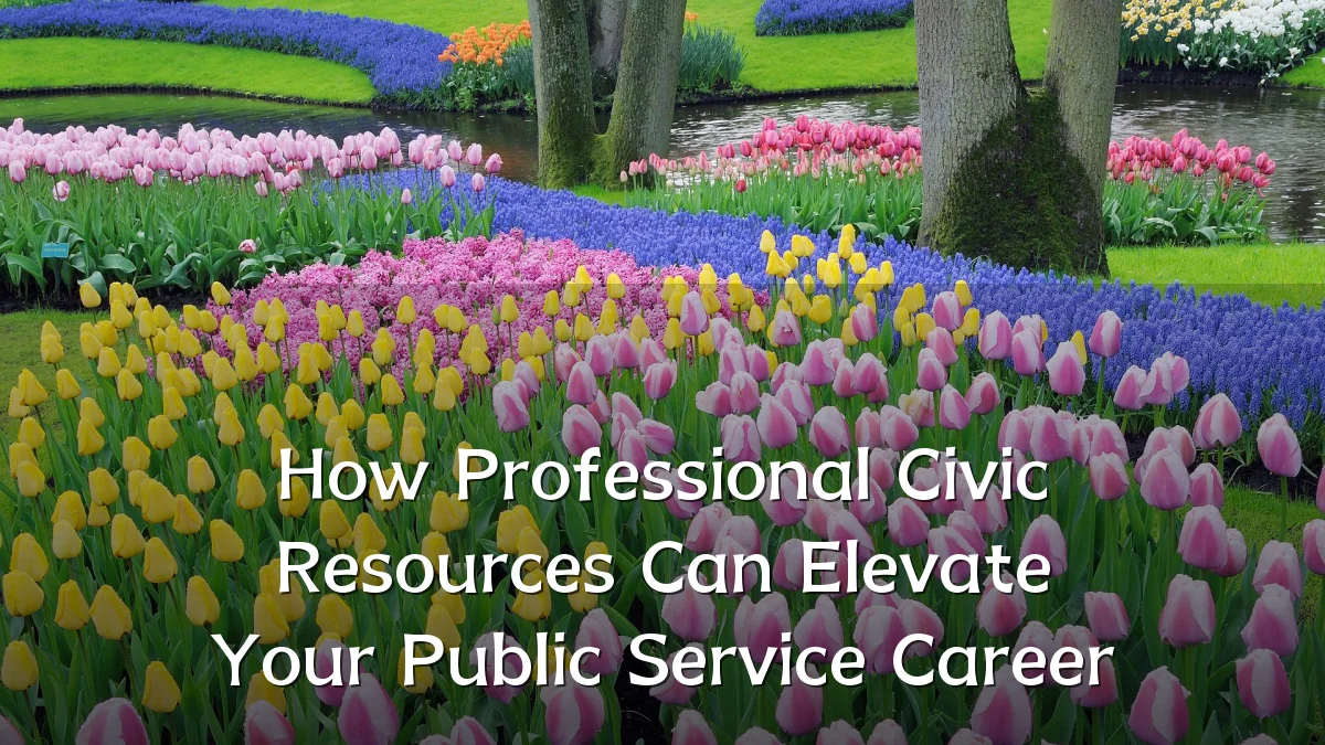 How Professional Civic Resources Can Elevate Your Public Service Career