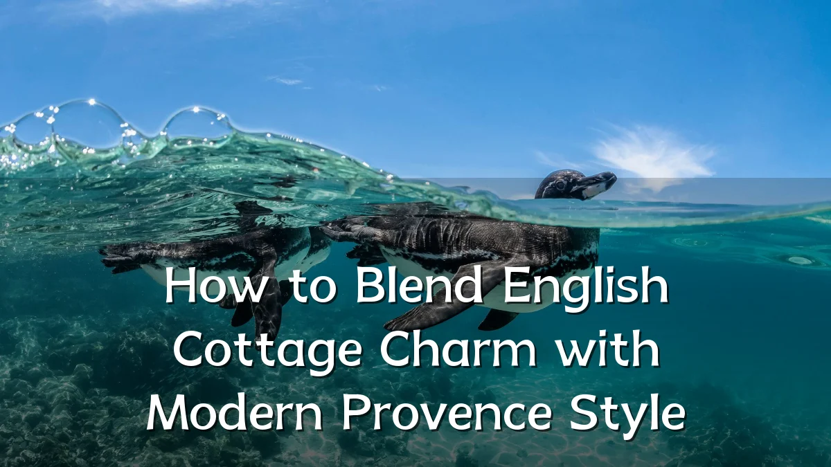 How to Blend English Cottage Charm with Modern Provence Style