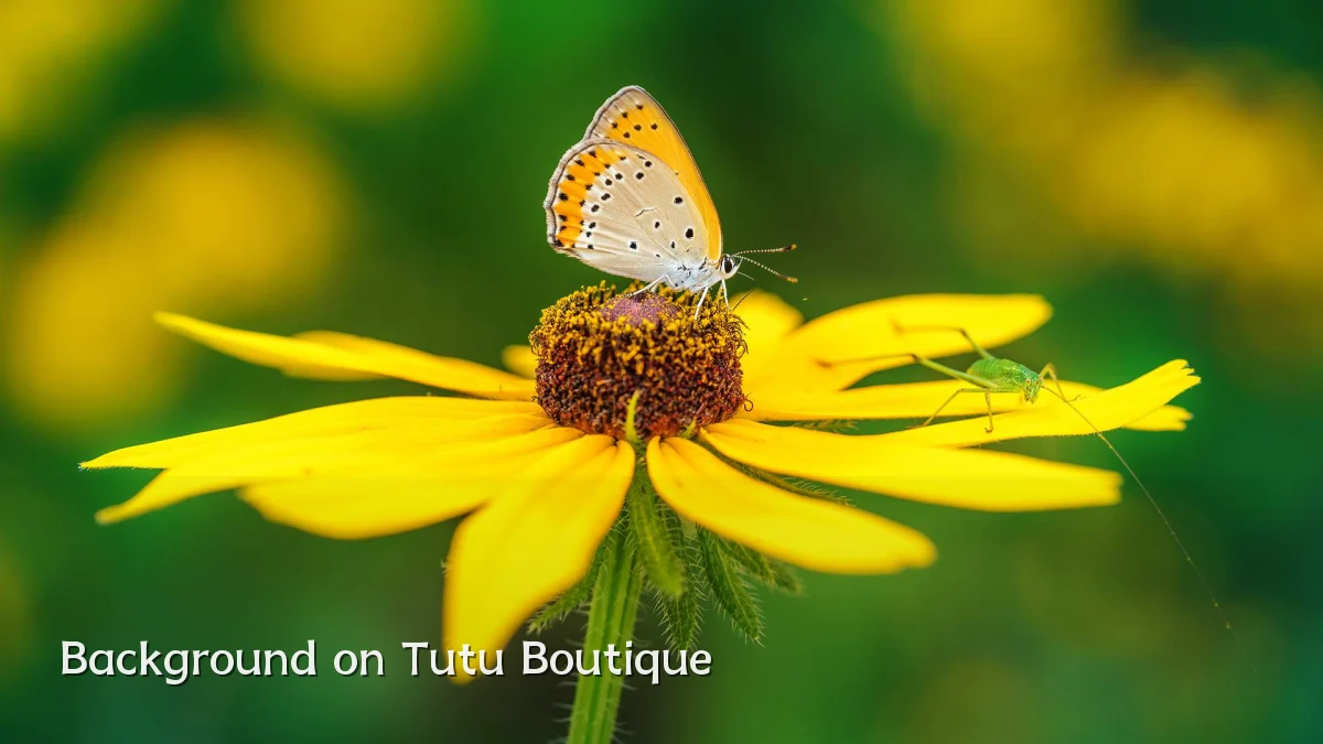 Background on Tutu Boutique