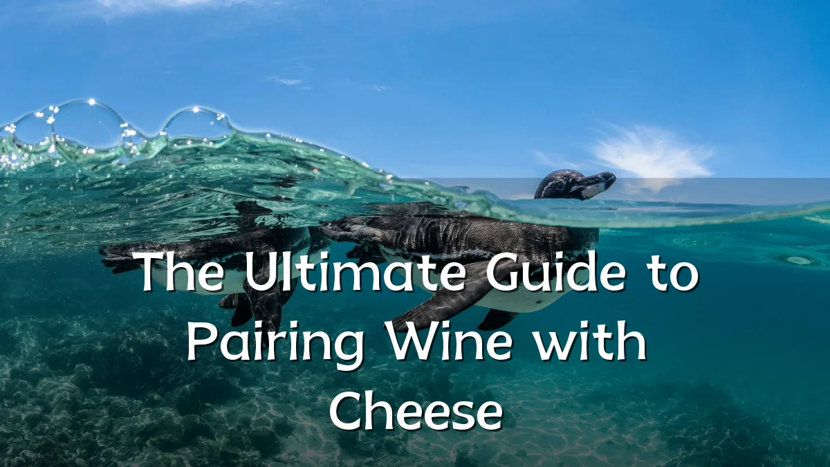 The Ultimate Guide to Pairing Wine with Cheese