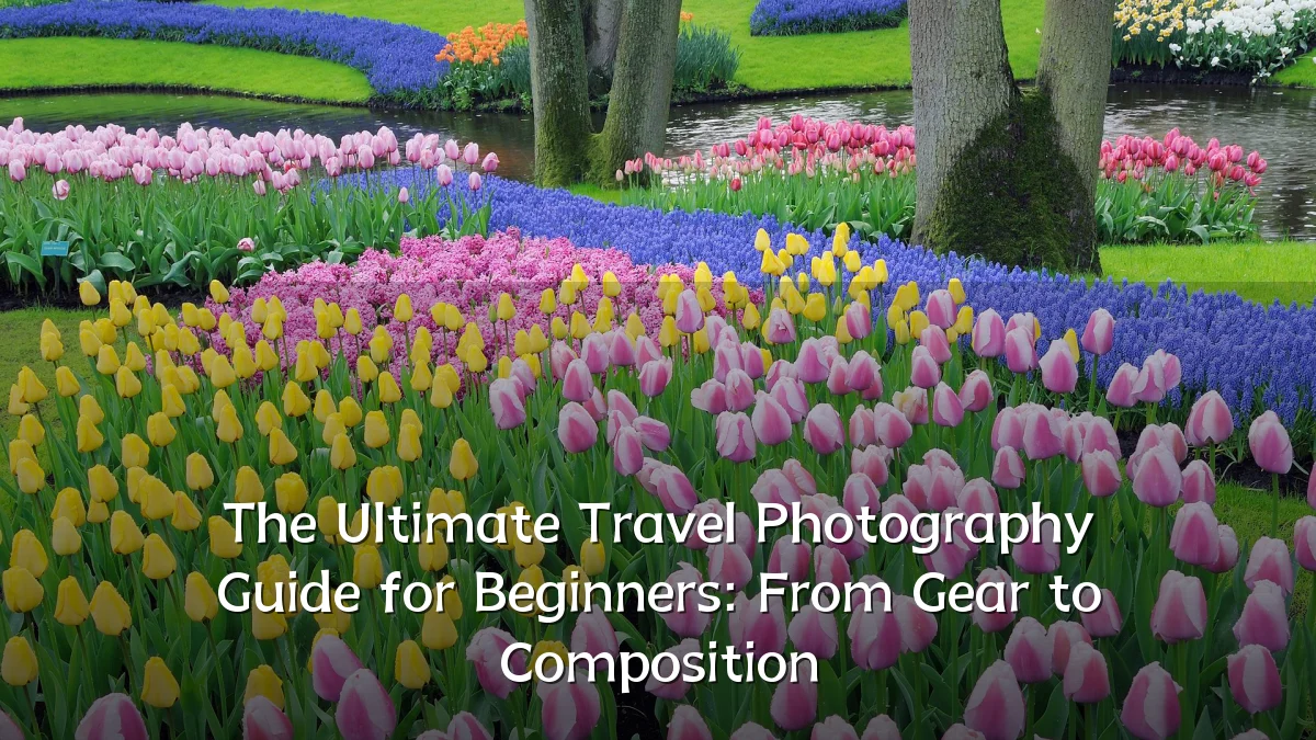 The Ultimate Travel Photography Guide for Beginners: From Gear to Composition