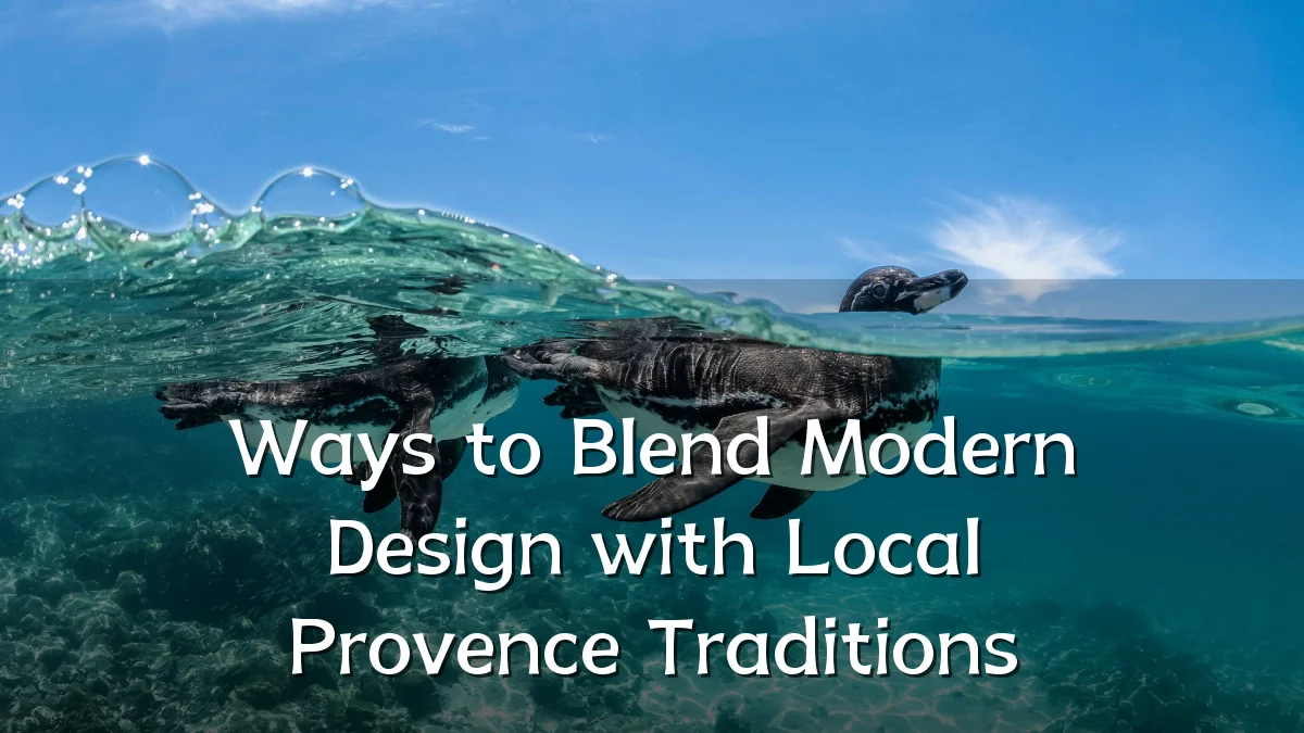 Ways to Blend Modern Design with Local Provence Traditions