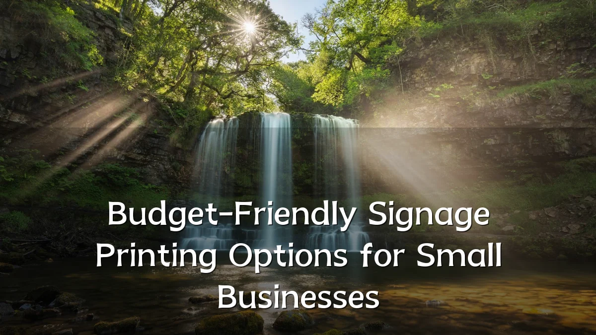 Budget-Friendly Signage Printing Options for Small Businesses