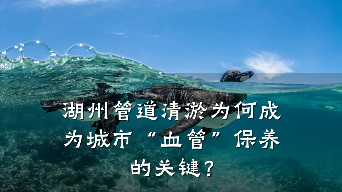 湖州管道清淤为何成为城市“血管”保养的关键?
