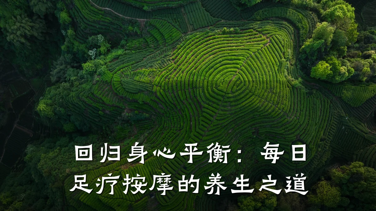 回归身心平衡：每日足疗按摩的养生之道