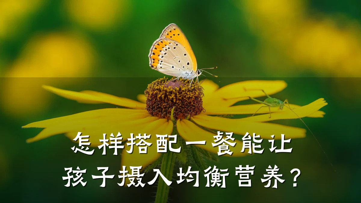 怎样搭配一餐能让孩子摄入均衡营养？