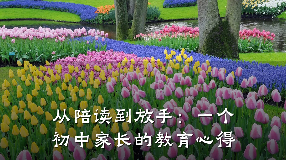 从陪读到放手:一个初中家长的教育心得