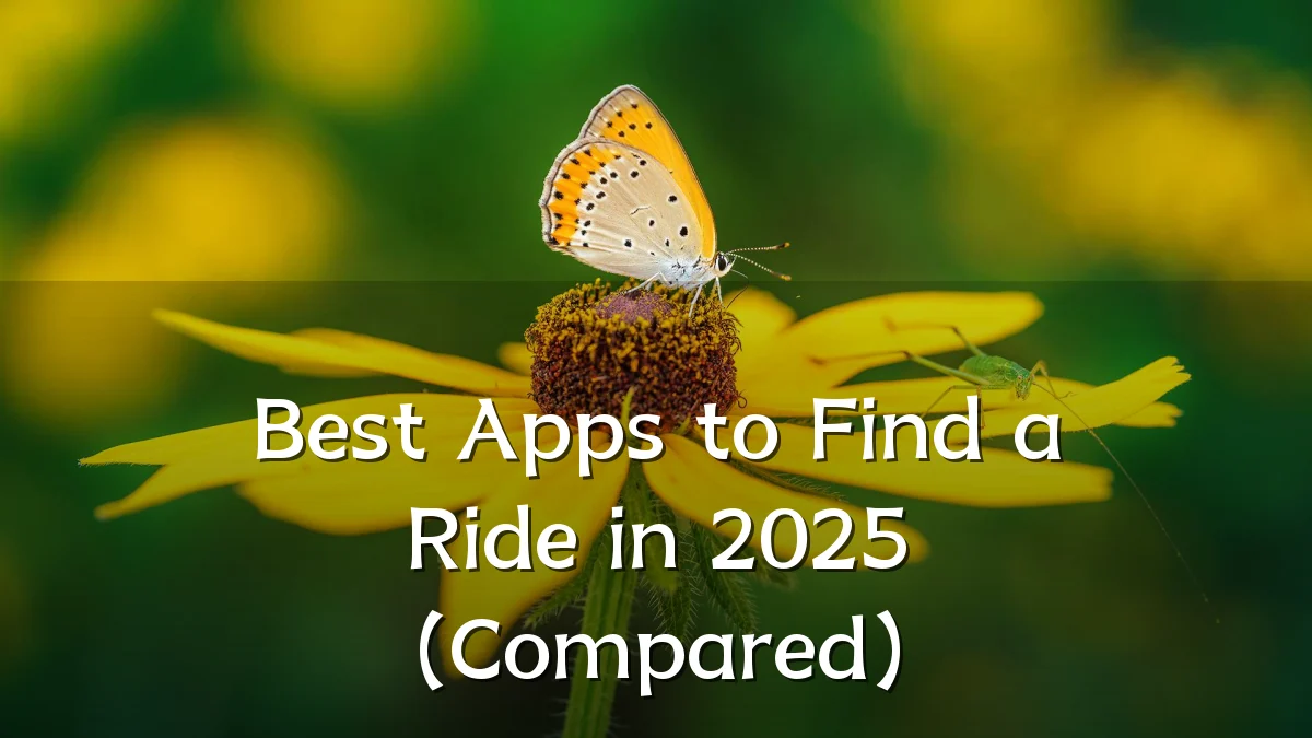 Best Apps to Find a Ride in 2025 (Compared)