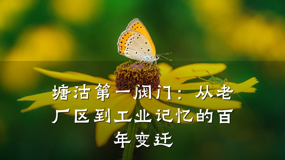 塘沽第一阀门:从老厂区到工业记忆的百年变迁